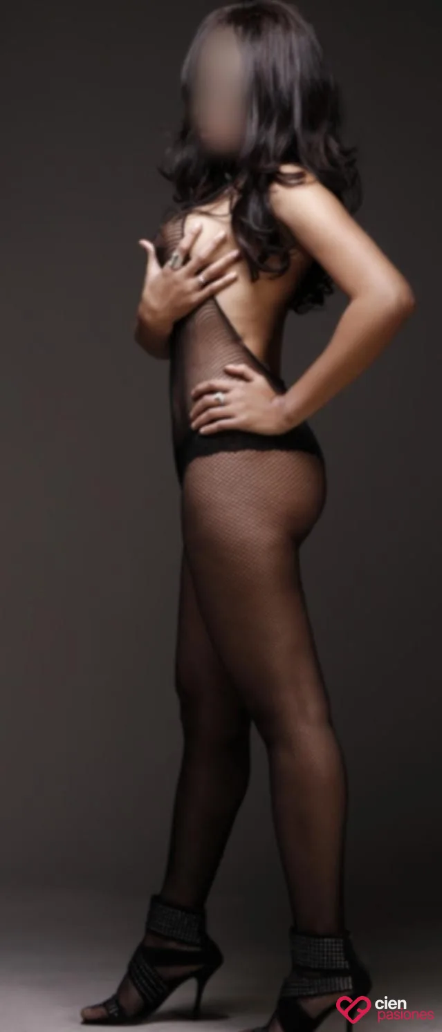 Ambar SUMISA piel suave dorada  excelente en obedecer — foto 2